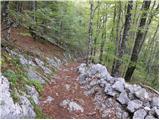 Stara Fužina - Planina Spodnja Grintovica